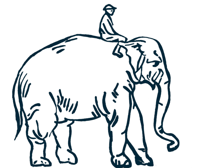 Line illustration of an elephant carrying a small rider