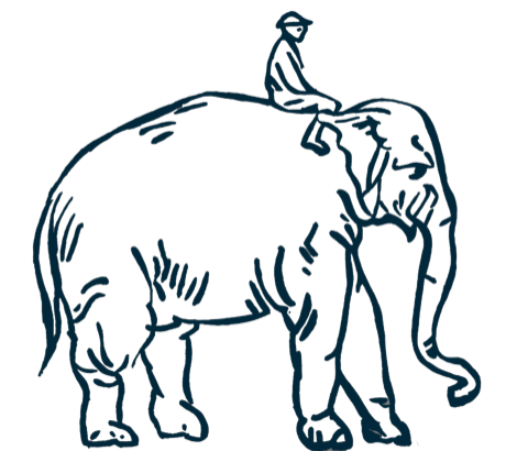 Line illustration of an elephant carrying a small rider
